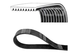 pasek-wielorowkowy-10pk1108-dayco-hd-dayco