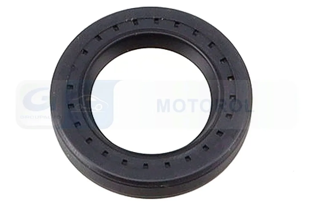 oring-pompy-wtr-db-e-klasa-06-delphi