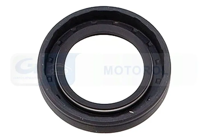 oring-pompy-wtr-db-e-klasa-06-delphi-producent-czesci-delphi