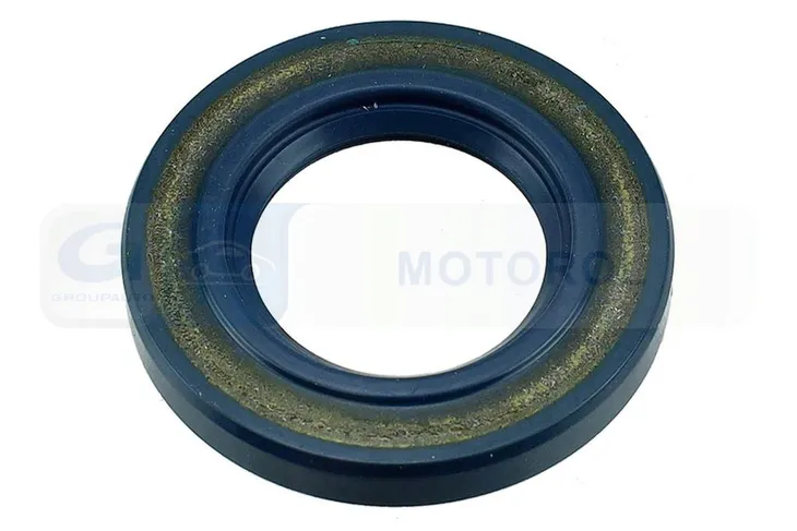 simer-pompy-delphi-producent-czesci-delphi