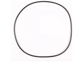 oring-piasty-mb-actros-255x265x5-pe-automotive