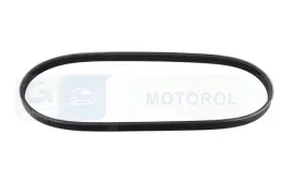 pasek-micro-v-denckerm-as-4pk698-dec