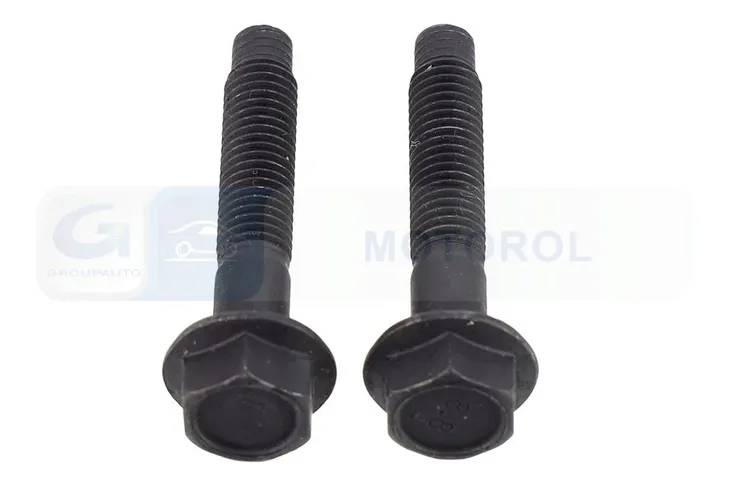 sruba-glowicy-cylindrow-elring-numer-katalogowy-czesci-482-550