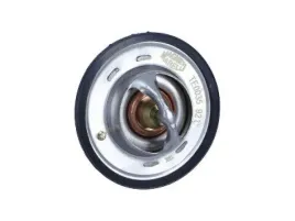 termostat-ford-92c-magneti-marelli