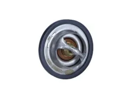 termostat-ford-82c-magneti-marelli