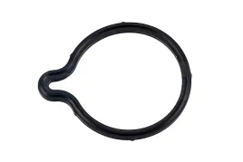 pierscien-pompy-wtr-bosch