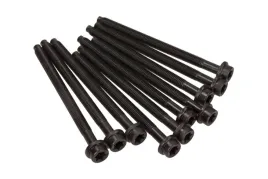 sruby-glowicy-ford-16-ecoboost-10-victor-reinz