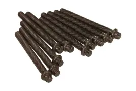 sruby-glowicy-bmw-m40-18-victor-reinz-14-32002-01