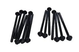 sruby-glowicy-bmw-3-30d-09-victor-reinz-14-10398-02