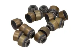 zestaw-uszczelniaczy-trzonek-zaworu-mitsubishi-victor-reinz-12-54169-02