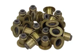 zestaw-uszczelniaczy-trzonek-zaworu-peugeot-407-27hdi-05-victor-reinz-12-