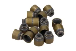 zestaw-uszczelniaczy-trzonek-zaworu-nissan-juke-micra-16-05-victor-reinz