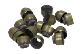 zestaw-uszczelniaczy-trzonek-zaworu-mitsubishi-victor-reinz-12-52829-01