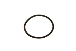 uszczelka-termostatu-db-c-klasa-w203-18-04-febi-bilstein-11443