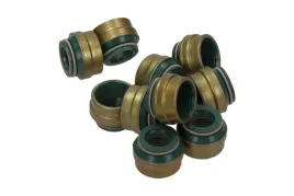 zestaw-uszczelniaczy-trzonek-zaworu-volvo-victor-reinz-12-25837-02