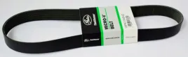 pasek-wielorowkowy-10pk1145-gates-gates