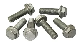 komplet-srub-mocujacych-zacisk-hamulcowy-sampa-75617