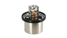 thermostat-dt-spare-parts-541096