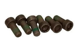 komplet-srub-kola-zamachowego-luk-411013310