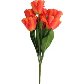 bukiet-7-tulipanow-papuzich-54-cm-pomaranczowy
