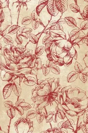 dywan-welniany-do-salonu-agnella-rhode-bordowy-isfahan-300x400-cm