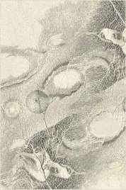 dywan-240x340-cm-kremowy-do-salonu-100percent-welna-gesty-prostokatny-agnella