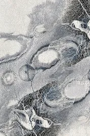 dywan-welniany-300x400-cm-kremowy-z-niskim-wlosem-do-salonu-prostokatny