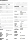 zestaw-szelki-bezpieczenstwa-protekt-basic-3s-kod-producenta-basic3s