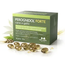 nbf-lanes-perognidol-forte-wsparcie-przeciwbolowe-cbd-omega-3-40-szt
