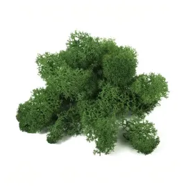 mech-chrobotek-zielony-50g