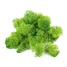 mech-chrobotek-jasnozielony-100g