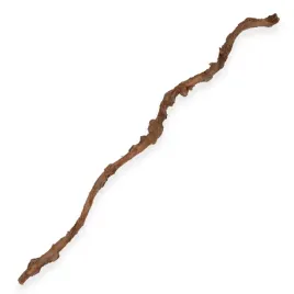 naturalna-liana-korkowa-cienka-30cm