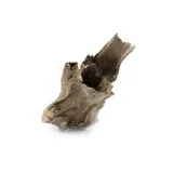 pien-buddy-buddha-stump-m