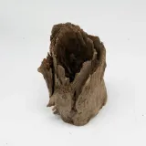 pien-buddy-buddha-stump-m-kod-producenta-rch-011