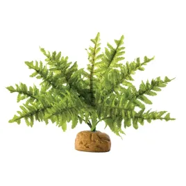 paproc-paprotka-exo-terra-boston-fern-m