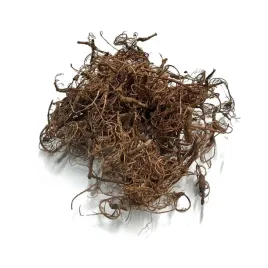 naturalne-korzonki-curly-moss-20g