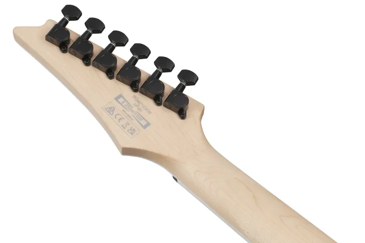 ibanez-rg421dx-tws-gitara-elektryczna-liczba-strun-6-strun