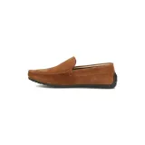 paw443b-marka-filippo