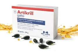 nbf-lanes-artikrill-wsparcie-stawow-kota-olej-z-kryla-glukozamina-30-sztuk