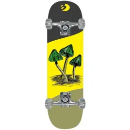 deskorolka-drewniana-mushrooms-best-sporting