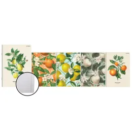 zeszyt-a5-60k-linia-summer-fruits-owoce-top2000