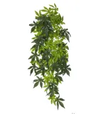 roslina-abutilon-exo-terra-l-stan-nowy