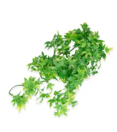 roslina-sztuczna-congo-ivy-zoomed-m