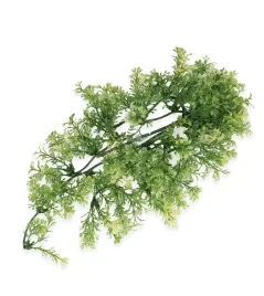 roslina-sztuczna-australian-maple-zoomed-l