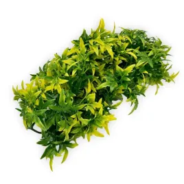 roslina-sztuczna-bolivian-croton-zoomed-s