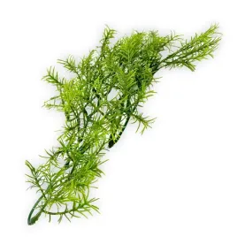 roslina-sztuczna-cashuarina-zoomed-m