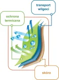 koszulka-meska-gatta-keep-hot-r-m-wzor-dominujacy-bez-wzoru