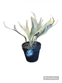 sztuczny-kwiat-w-doniczce-30-cm