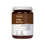 vitaler-s-chaga-500mg-60-kapsulek