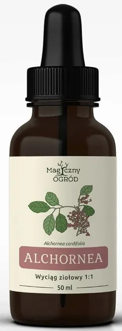 krople-nanga-alchornea-50-ml-stan-nowy